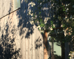 image 03_fluesseviertel_2020